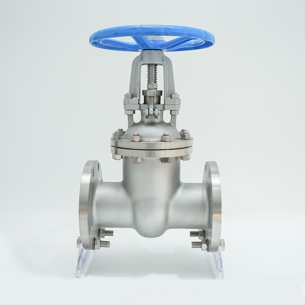 Katup Gerbang Flange Baja Tahan Karat Z41W-16P