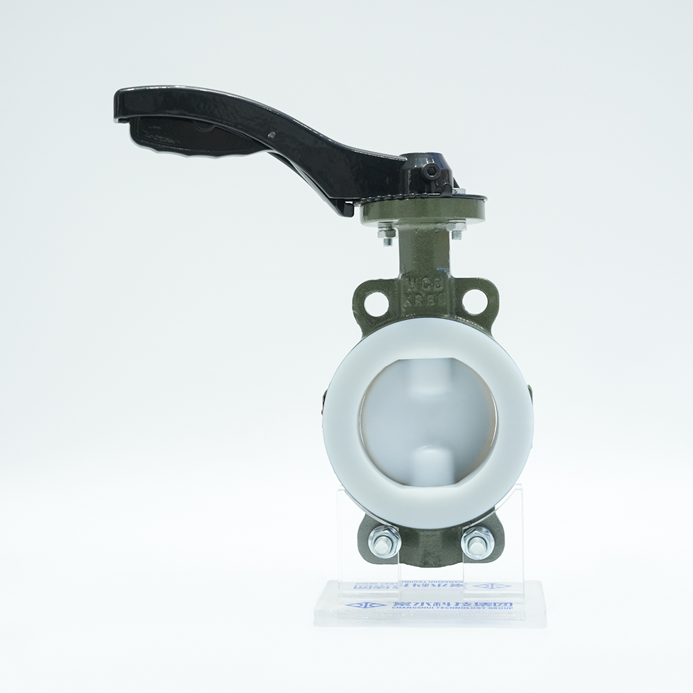 Grup Teknologi Changshui Co, Ltd.