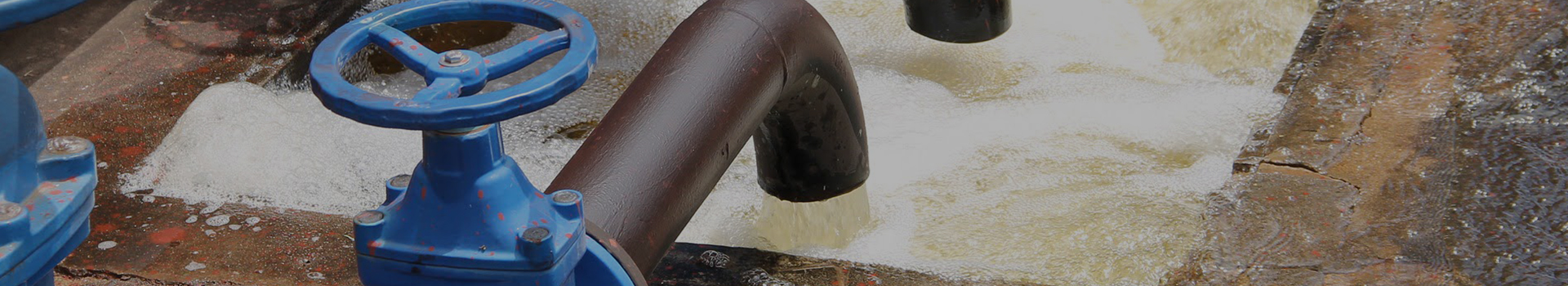 Grup Teknologi Changshui Co, Ltd.