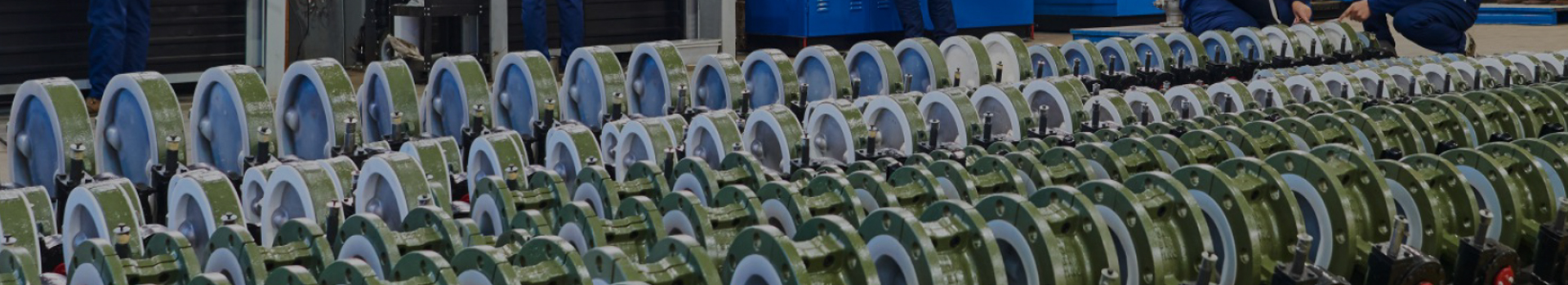 Grup Teknologi Changshui Co, Ltd.