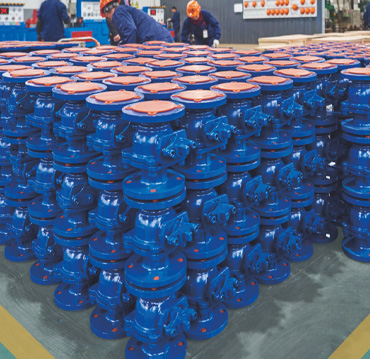 Grup Teknologi Changshui Co, Ltd.